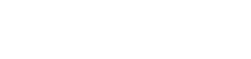 Alveus